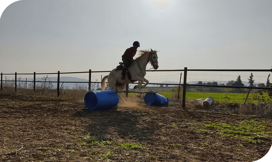 Boerderij_IMG_8632