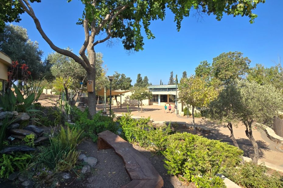 Mitzpe-Golan-school_1