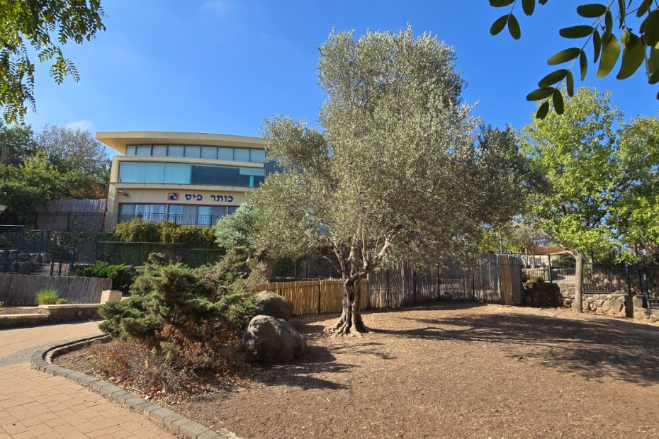 Mitzpe-Golan-school_19